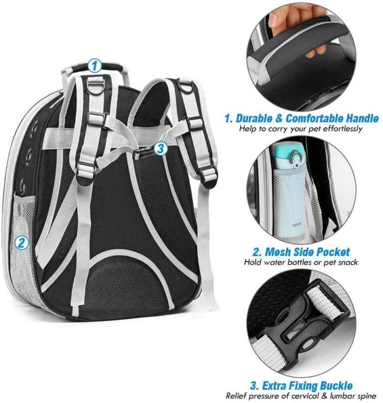 Best Cat Bubble Backpack Features to Consider Purring Meow!