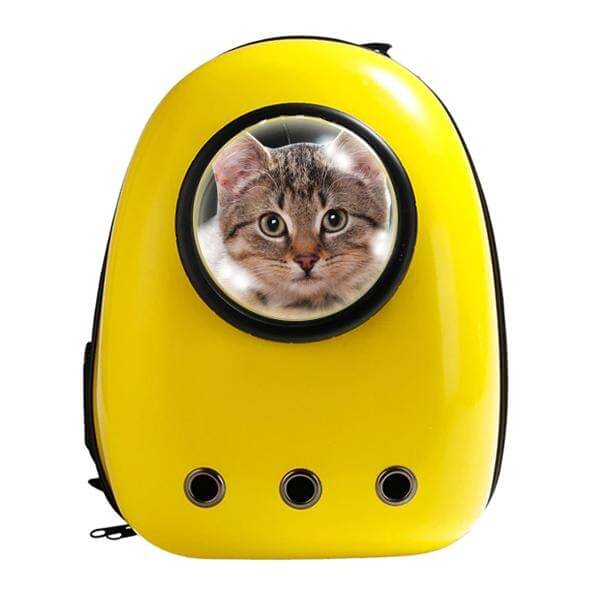Best Cat Bubble Backpack Features to Consider Purring Meow!