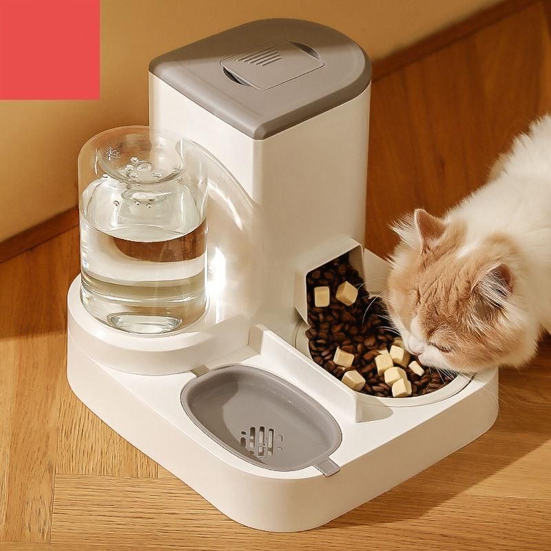 Smart Cat Automatic Feeder & Water Dispenser Purr Market