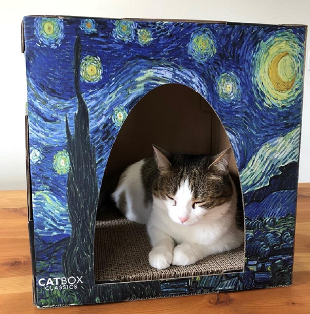 CatBox Classics A Box Designed For Our Feline Gods Purrpetrators