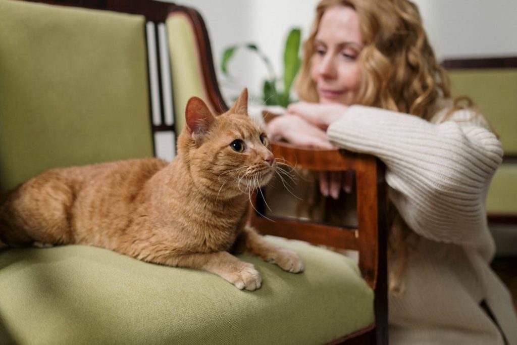 Why Do Some Cats Have Long Fangs Purrpetrators
