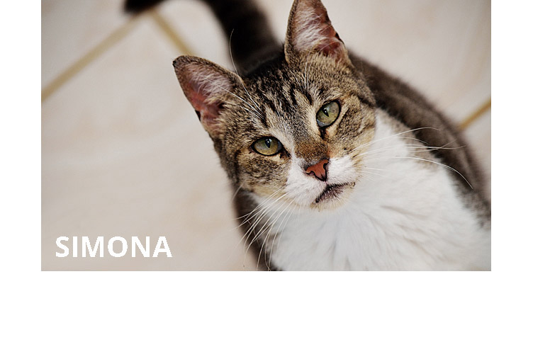 Adopt » PuRR Project