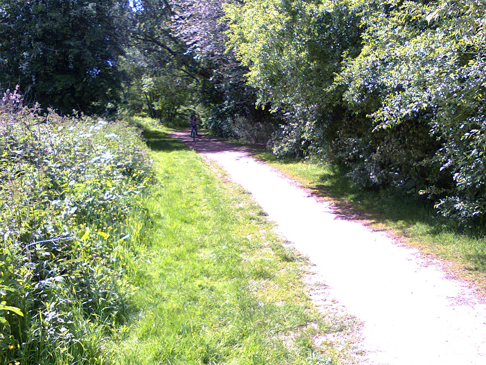 Woodgate Valley Country Park Push Bikes