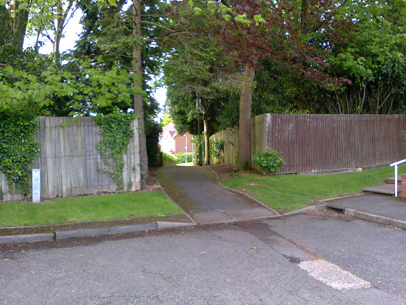 The LTN's Nobody is Complaining About Push Bikes