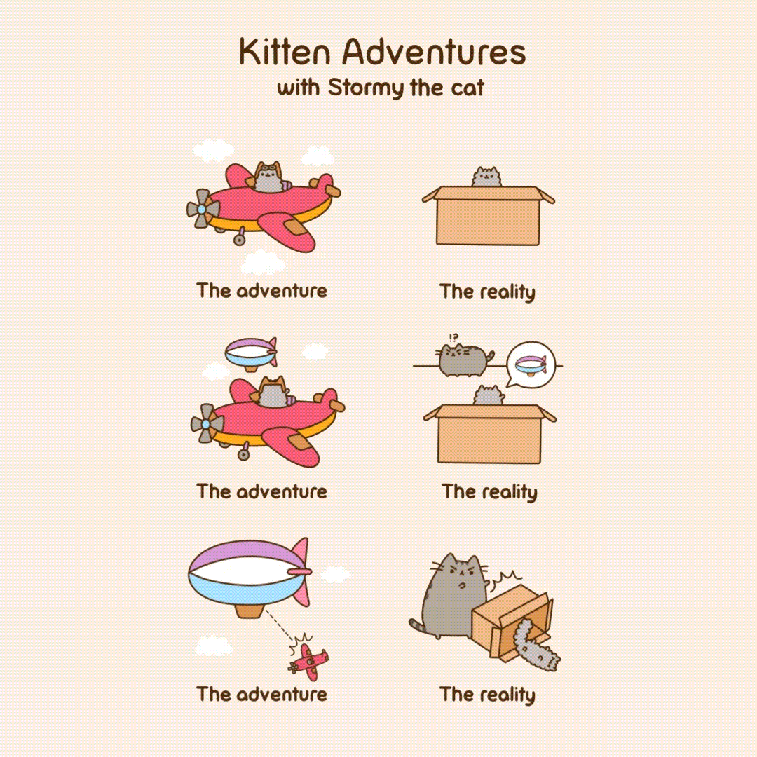 Pusheen More Kitten Adventures With Stormy the Cat