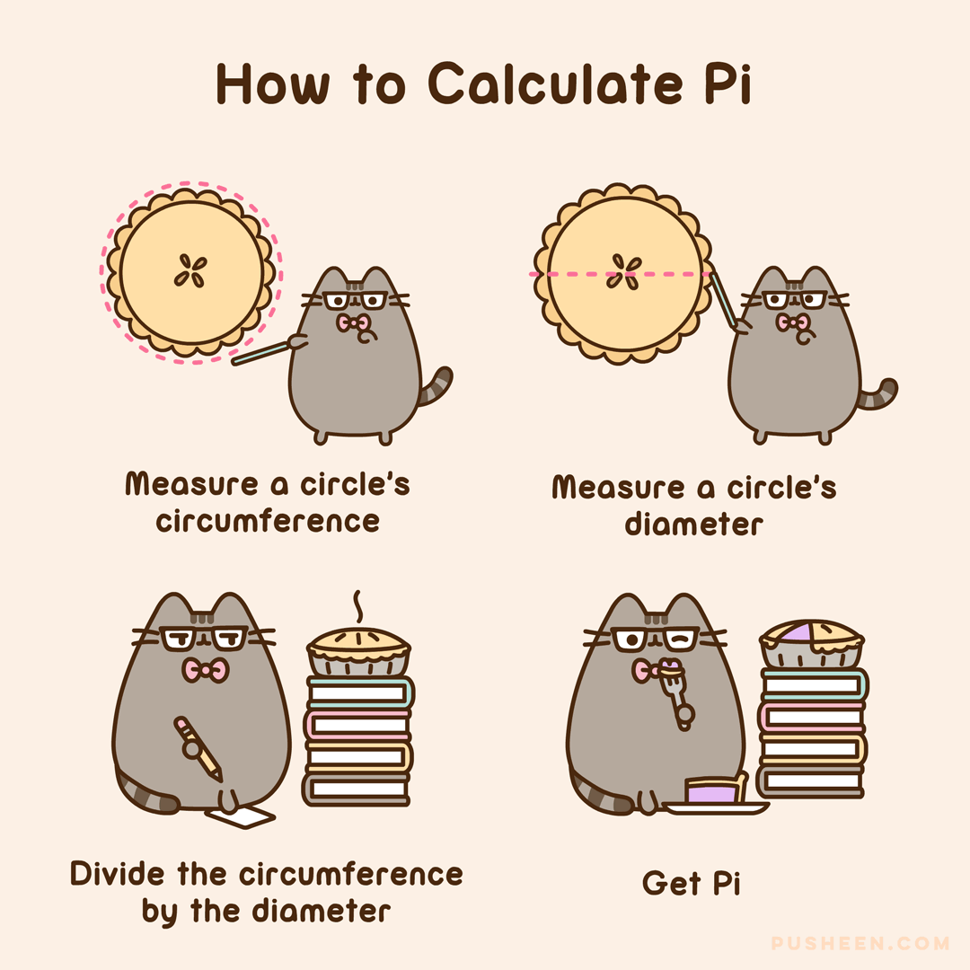 Pusheen How to Calculate Pie Pusheen