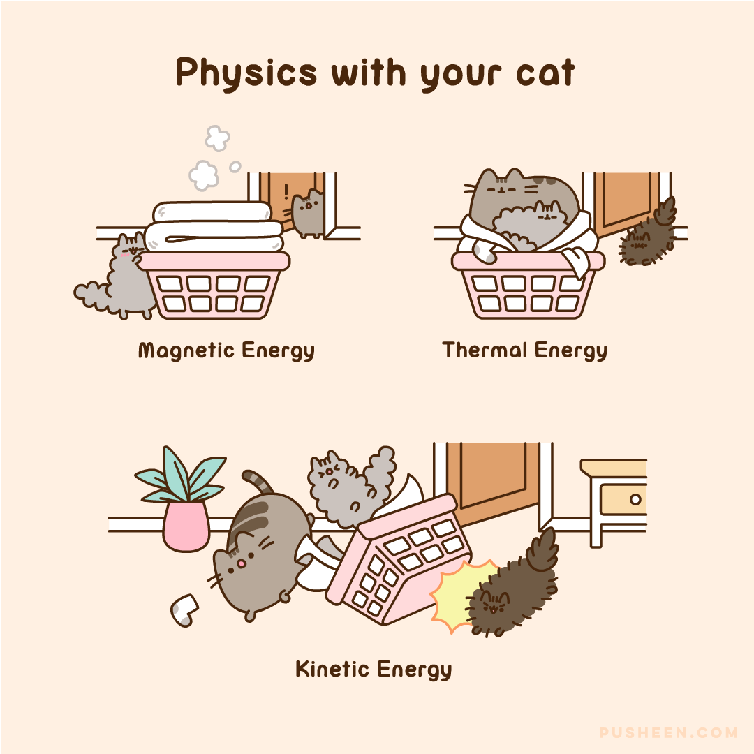 Pusheen Physics with Your Cat Pusheen