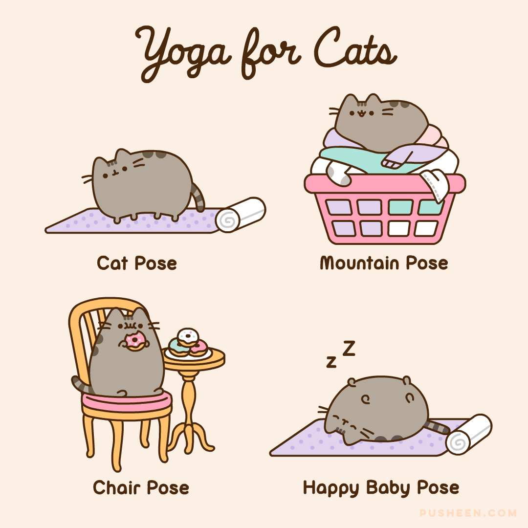 Pusheen Yoga for Cats