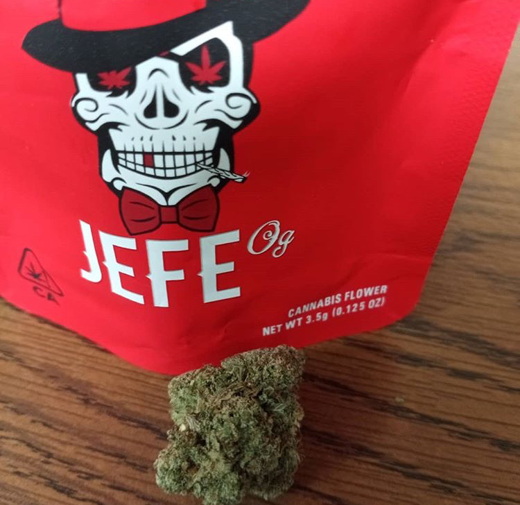 Jefe og cookies PUSH EXOTICS