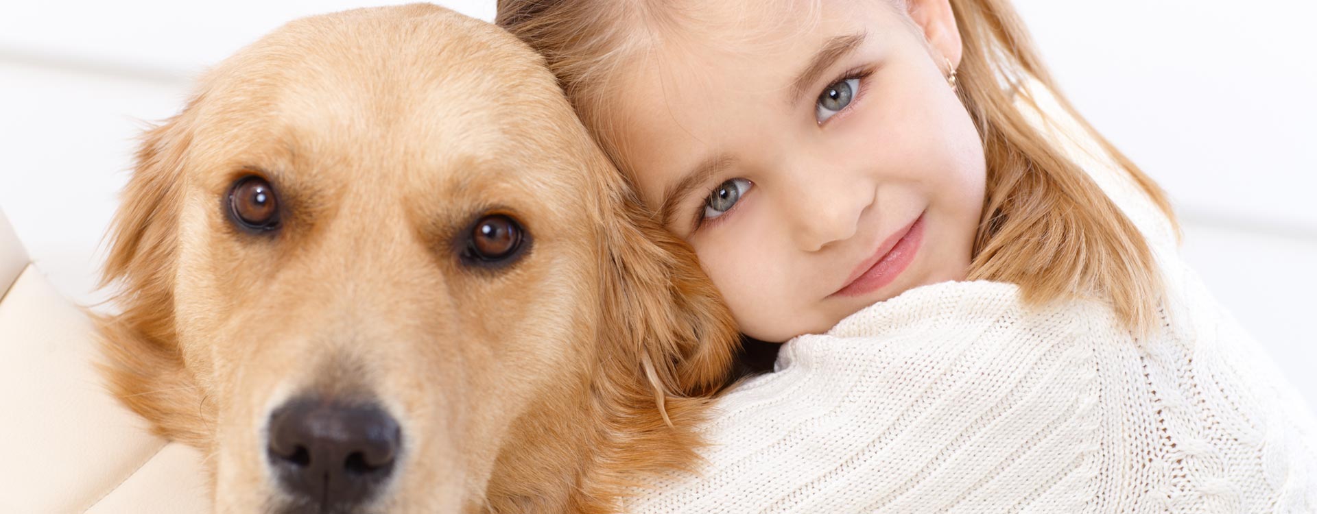 Put Dog to Sleep Phoenix Dog Euthanasia Phoenix