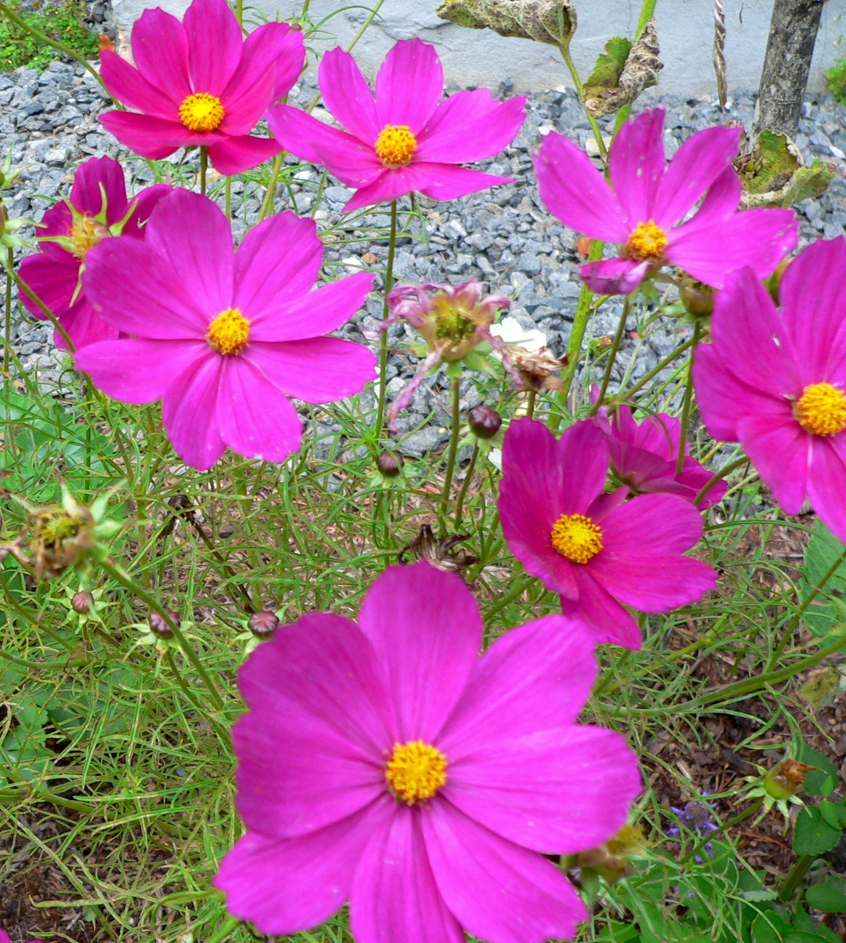 Embracing Change Growing and Strengthening Quaker Communities Putney Friends Meeting