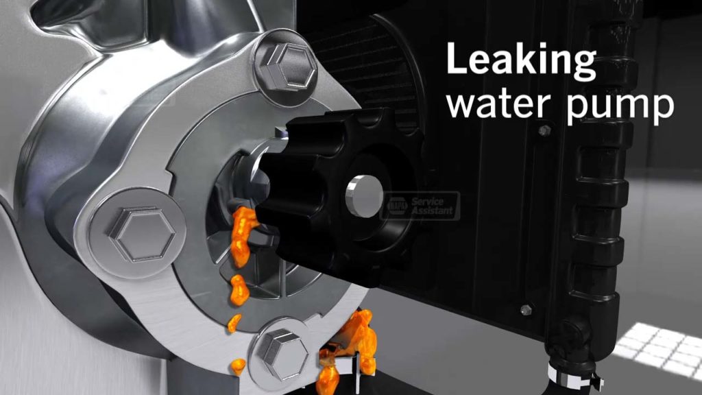 Avoid Water Pump Cavitation Putney’s Auto Tech Centre