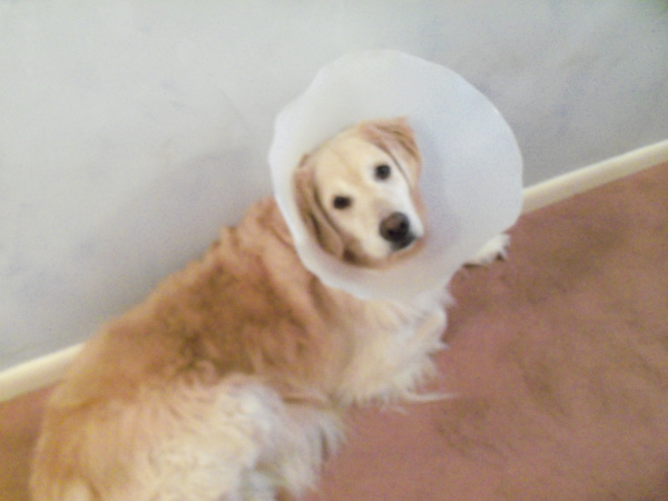 Conehead Putting It All On The Table