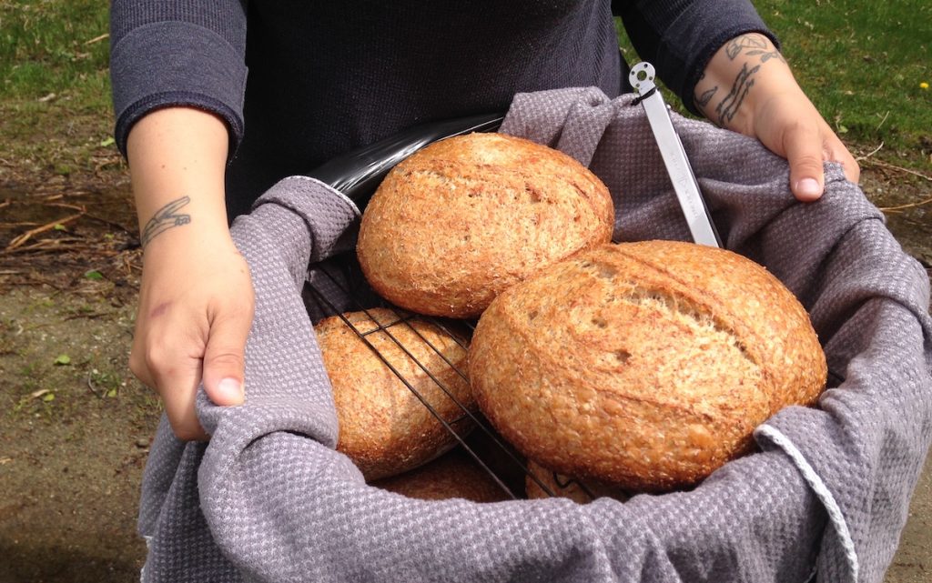 Delivering Bread During a Pandemic A Small Story Puttylike