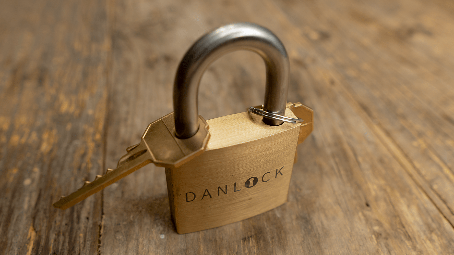 Solving the very clever DanLock puzzle Puzzled Wolf