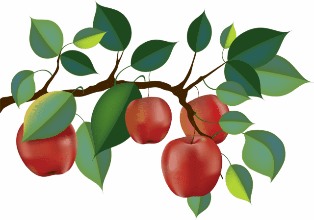 Apple tree mystery puzzle Puzzle Fry