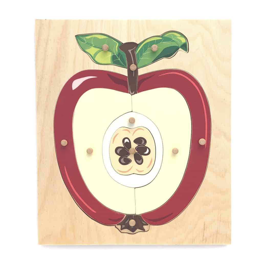 Montessori Apple Nomenclature Puzzle Puzzleheads Educational Products