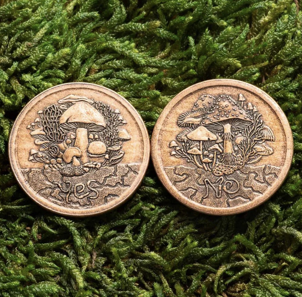 Mushroom Decision Coin Copper Puzzle Me This