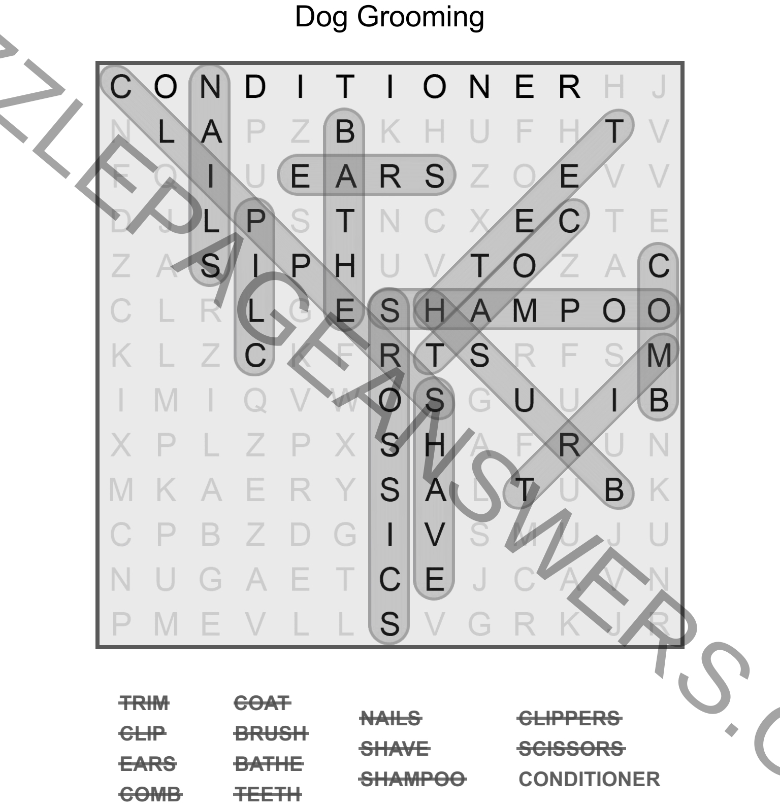 Puzzle Page Word Search November 19 2023 Answers Puzzle Page Answers