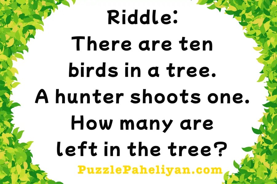 10 Birds In A Tree Riddle Puzzle Paheliyan