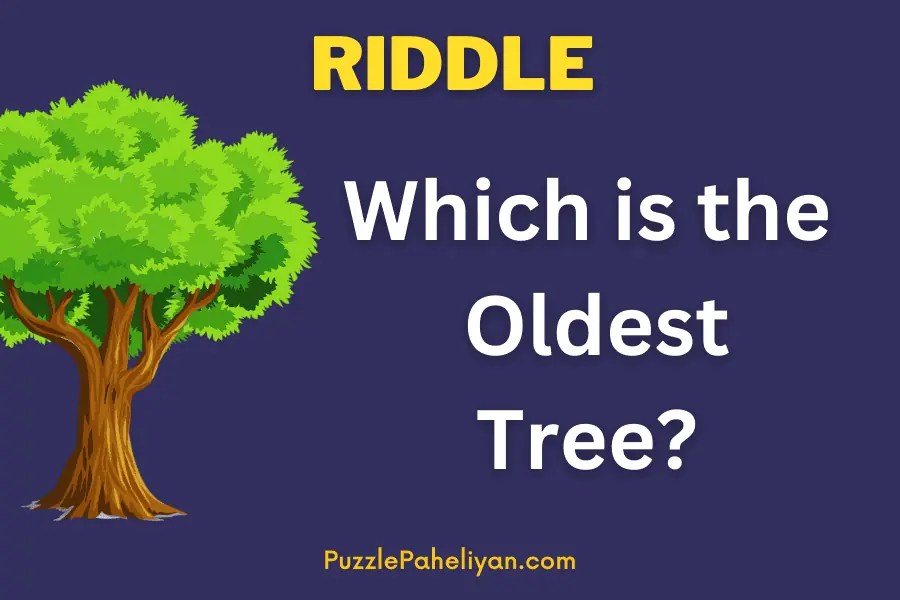 Which Is The Oldest Tree Riddle (Solve) Puzzle Paheliyan