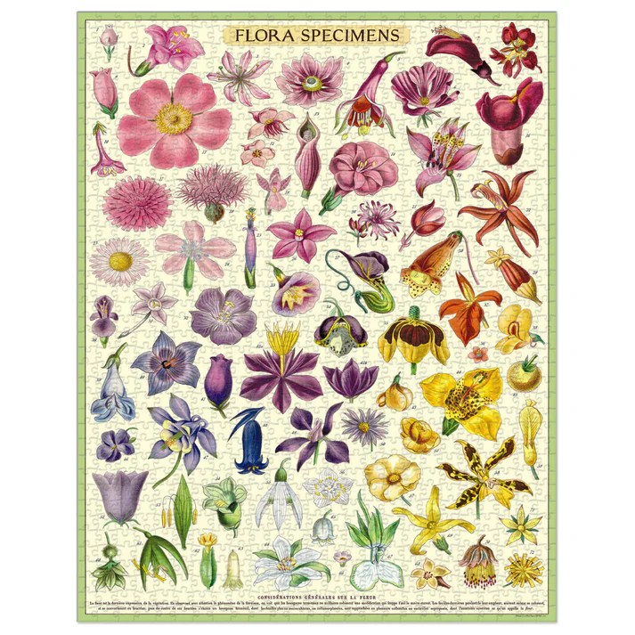 Cavallini & Co Vintage Puzzle Flora Specimans 1000 Jigsaw Piece