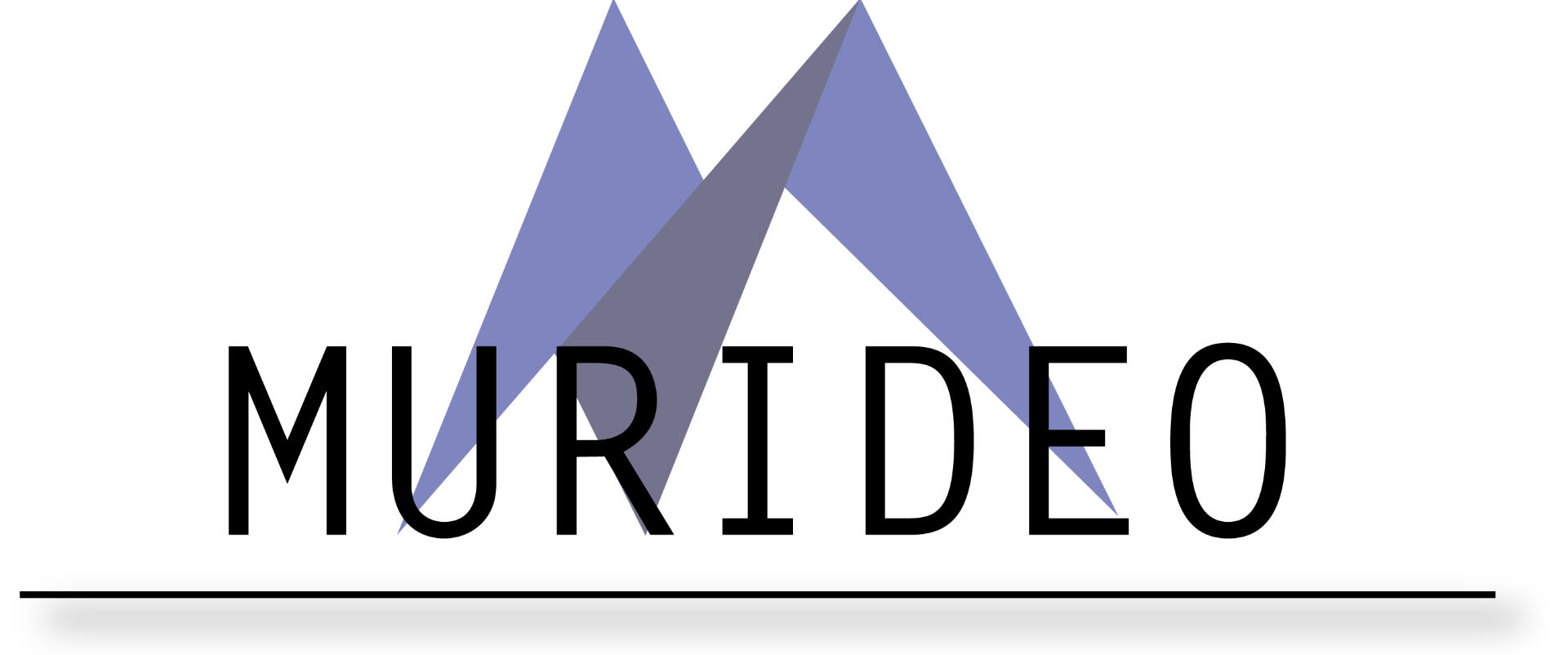 Shop Professional Video Alliance