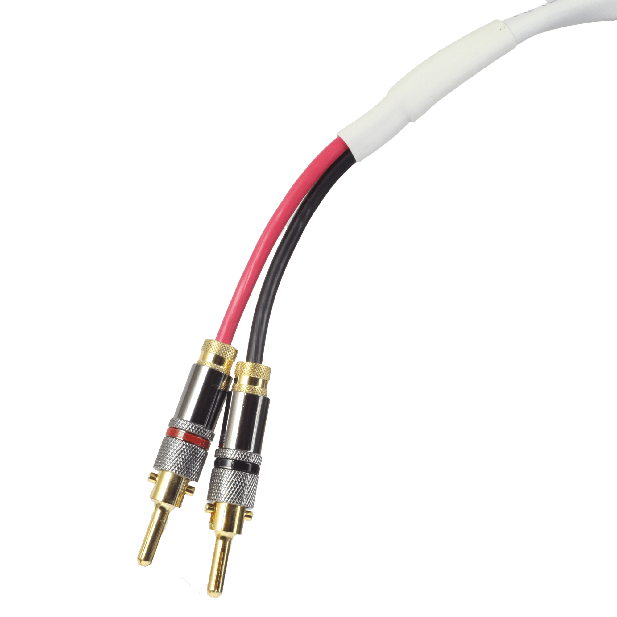 Board Meeting Minutes Best Practices Professional Video Alliance