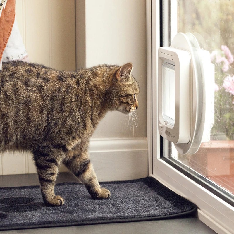 PVC Doctor Cat and Dog Flaps into Glass
