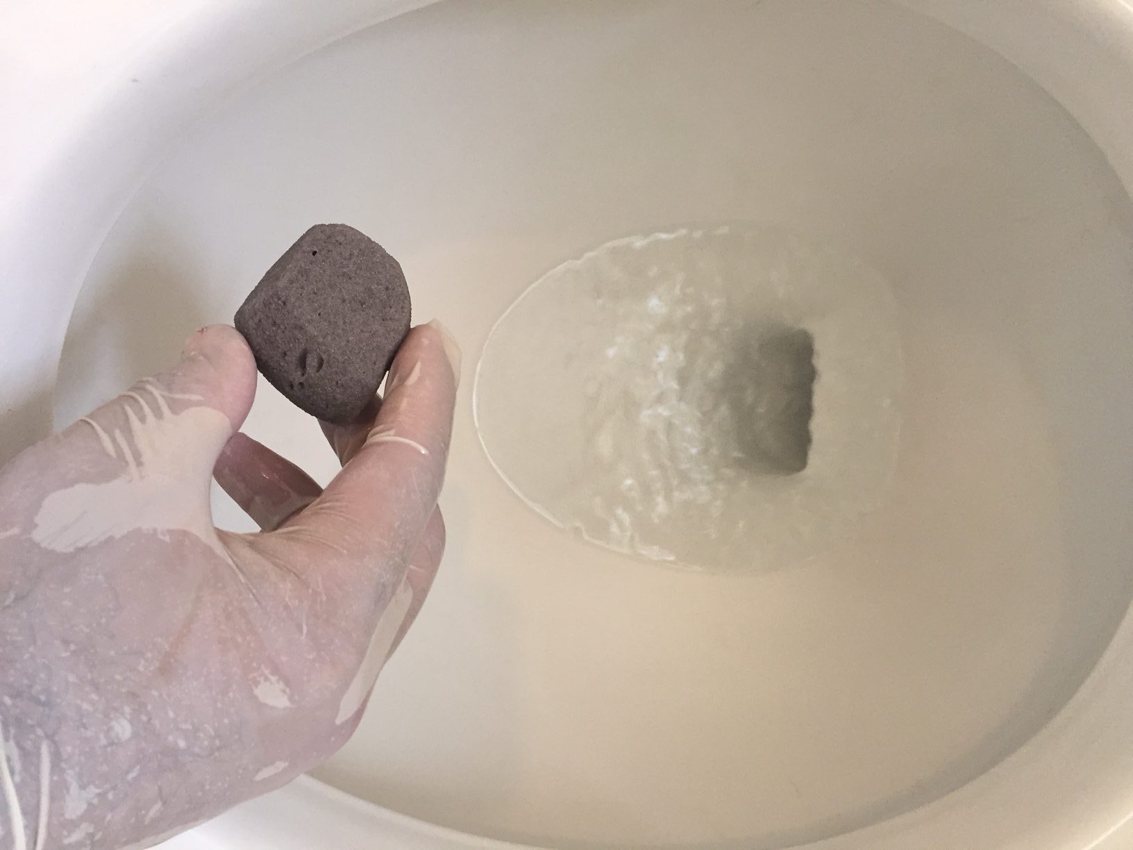 How to Resurrect a Neglected Toilet A Howto Guide