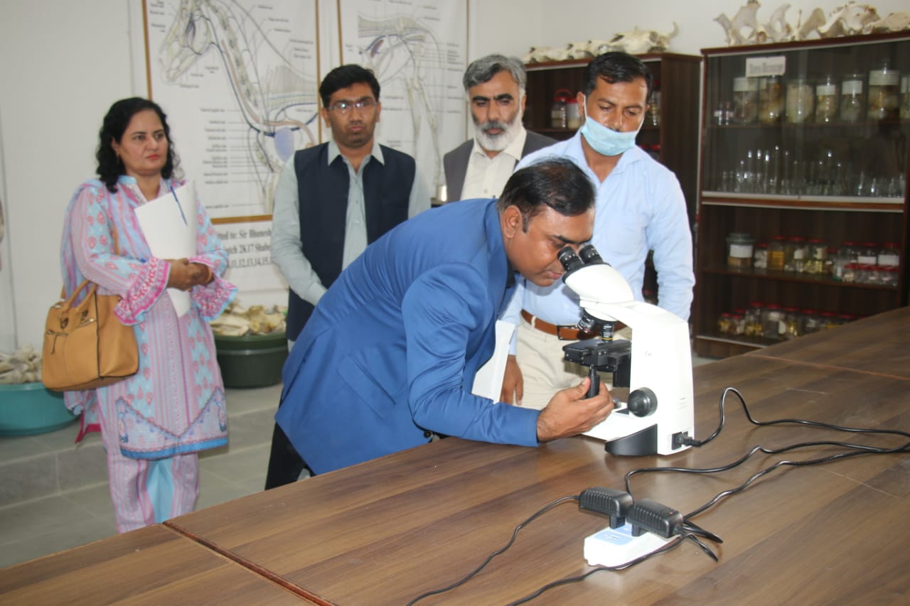 Pakistan Veterinary Medical Council