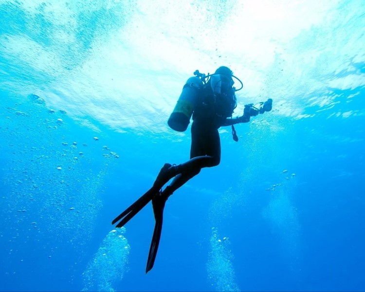 Scuba Dive Puerto Vallarta PVR tours