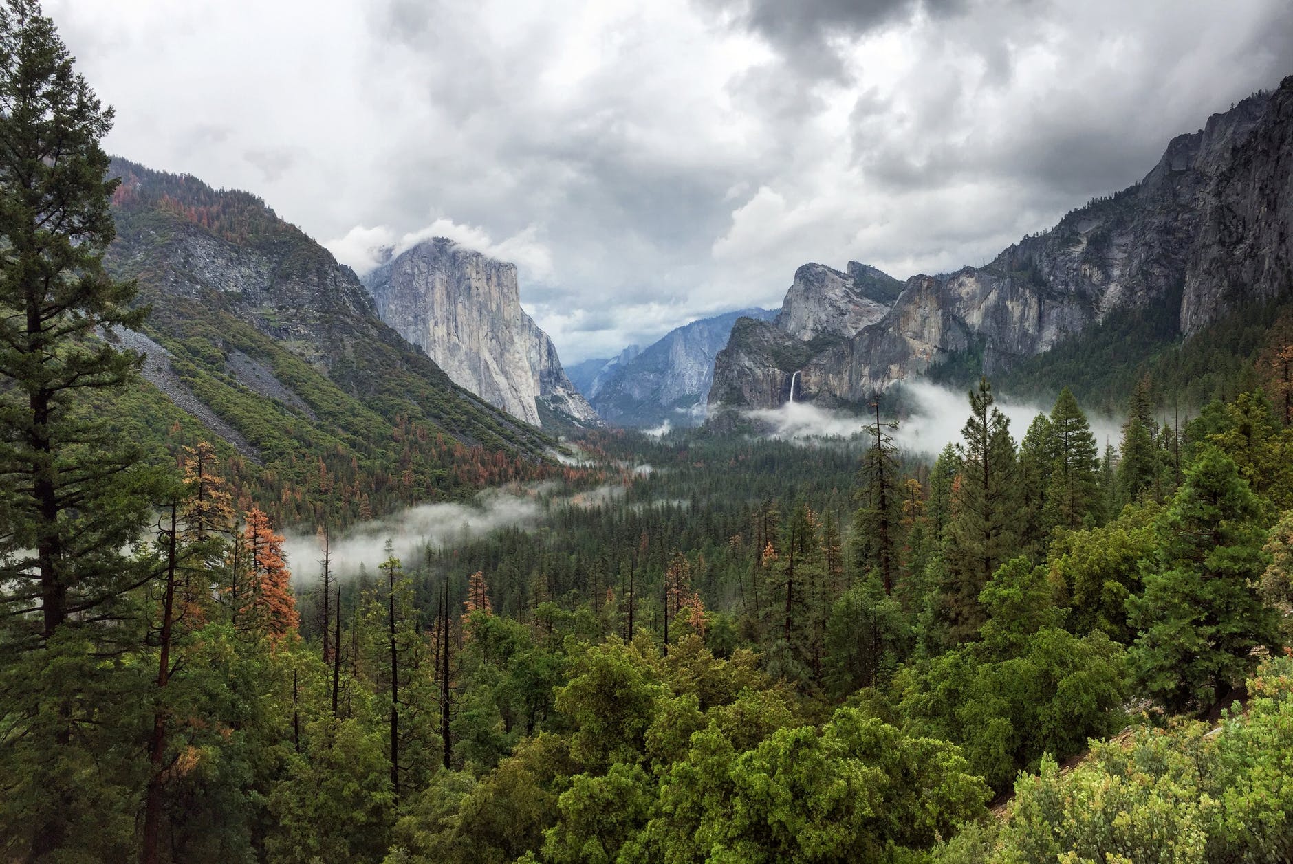 Memorial Day Yosemite Trip Foggy View