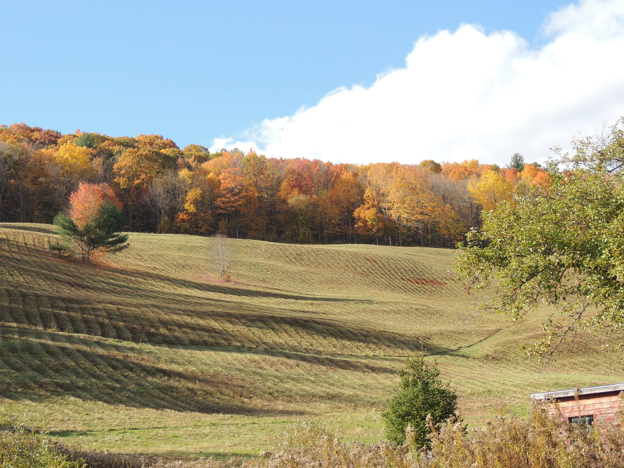 Williamstown Rural Lands Foundation & PV Squared Referral Program PV