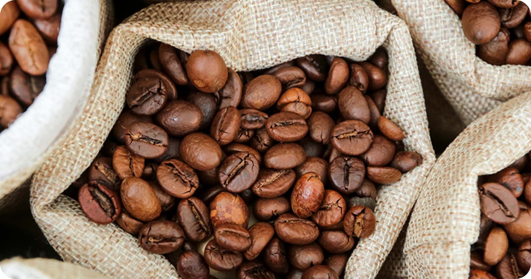 Bean To Cup in San Francisco Bay Area & Sacramento PVS Refreshments