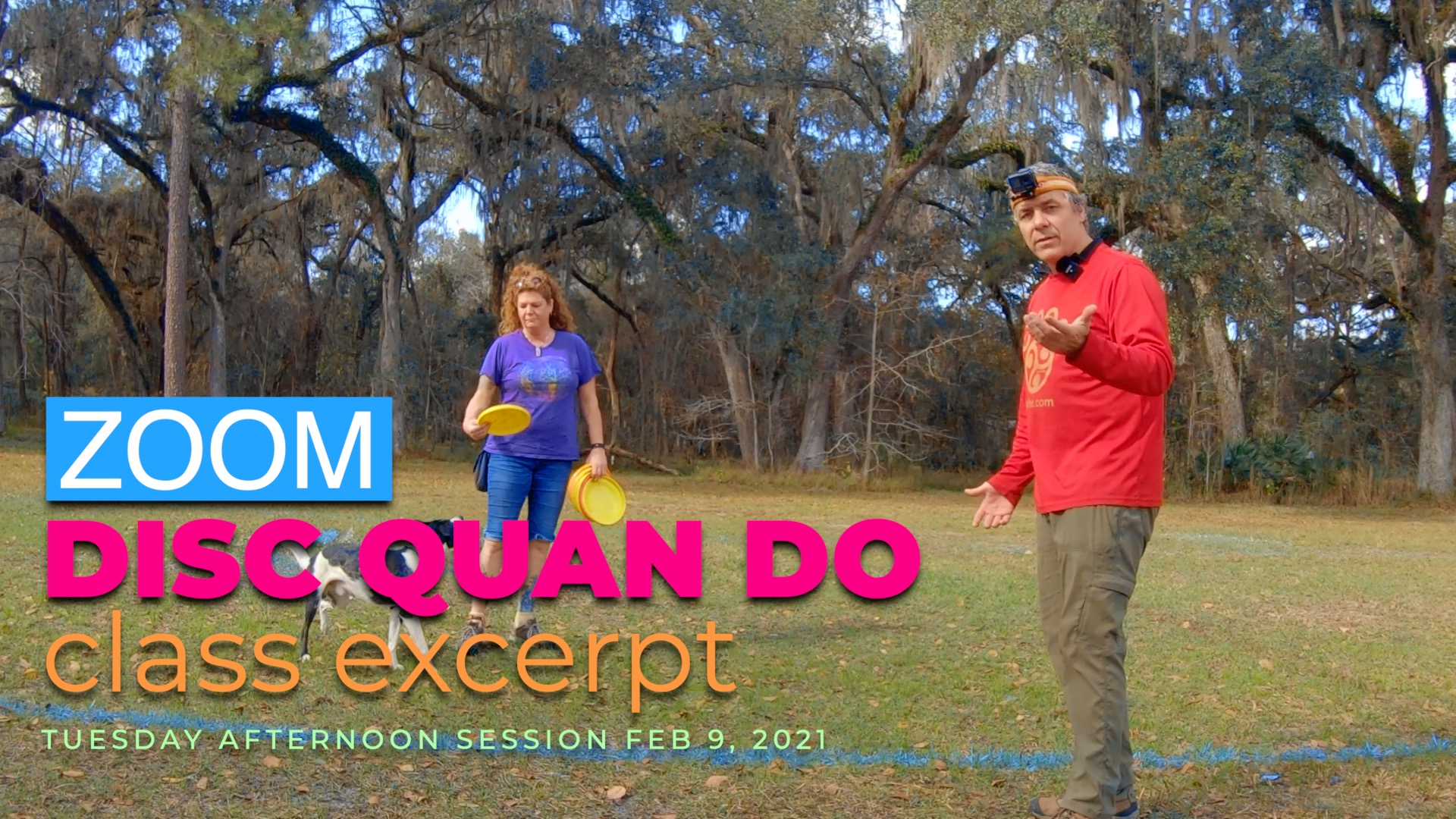 Class Excerpt Crossing Pass Question Pawsitive Vybe