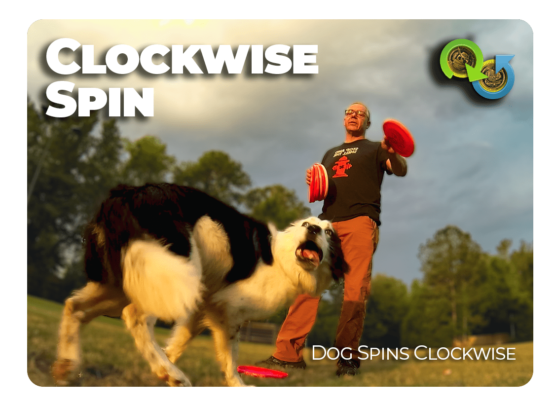 Clockwise Spin Pawsitive Vybe