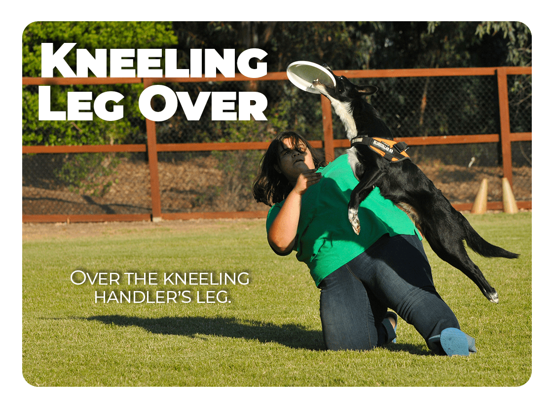 DiscDog Trick Kneeling Leg Over Pawsitive Vybe