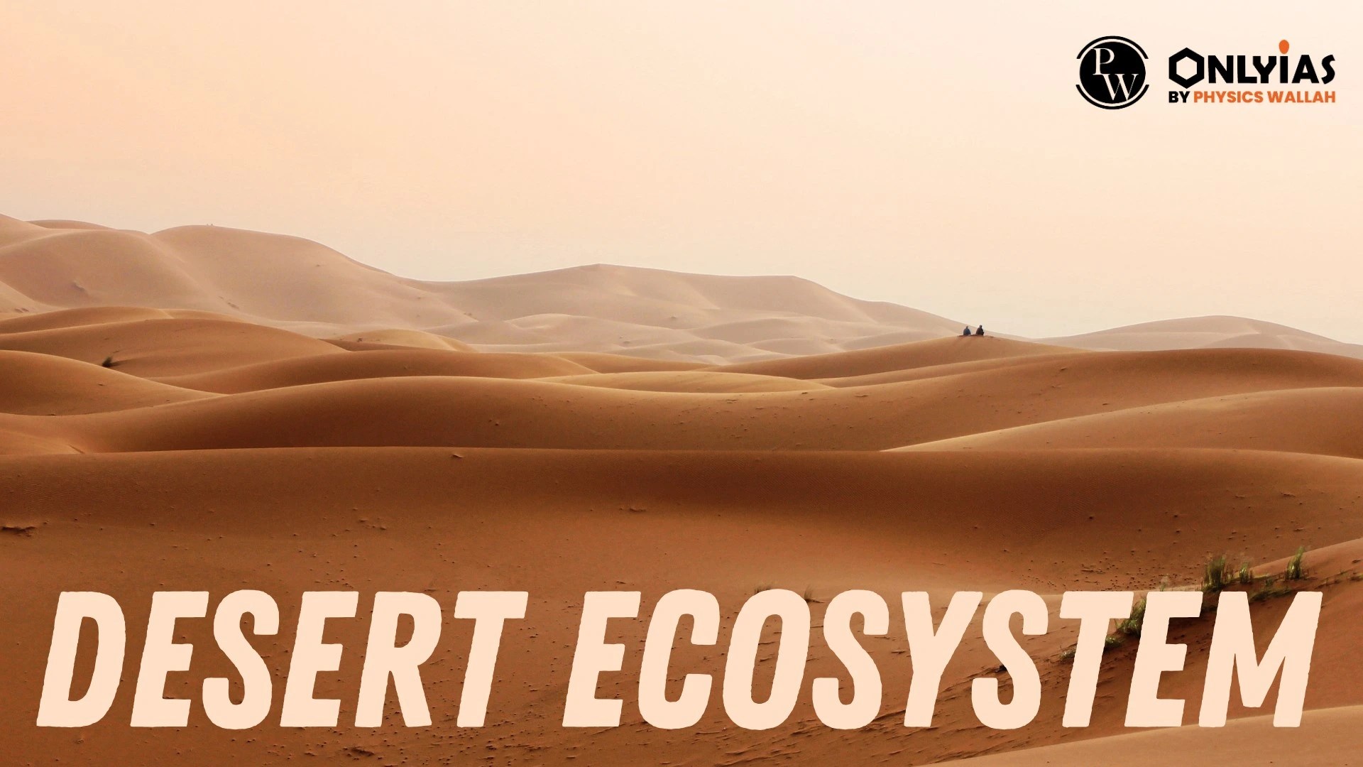 The Desert Ecosystem Types, Adaptation, Biodiversity & Resilience