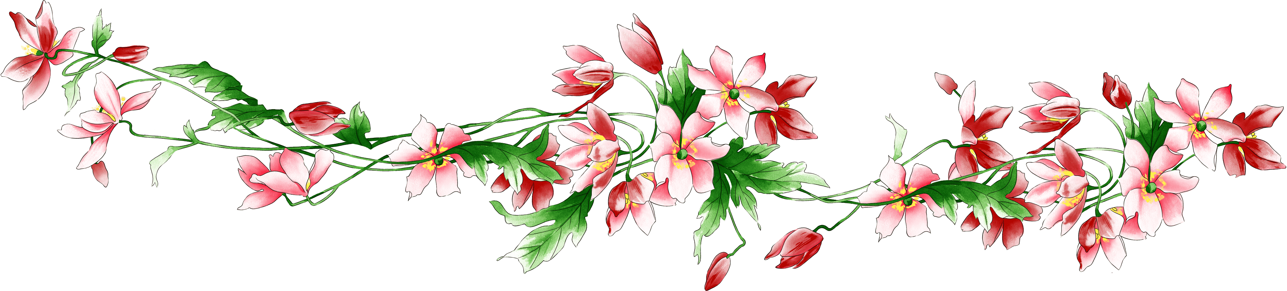 Flower clusters download — free clipart PSD PNG — Картинки и Рисунки