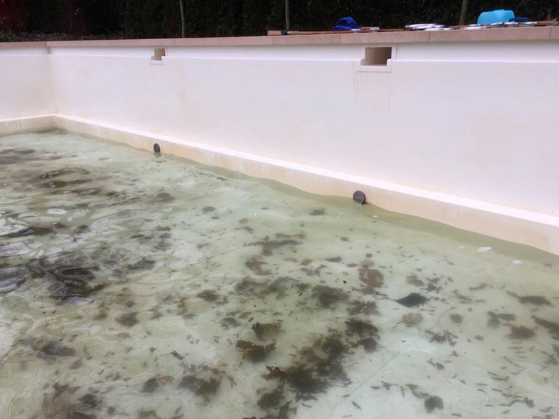Pool Nach Dem Winter Und Vor Der Reinigung - Pws Pool