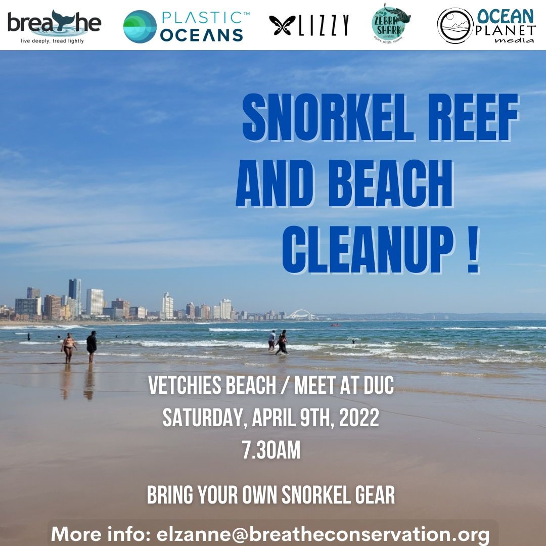 Snorkel Reef & Beach Clean Up Point Water Sports Club
