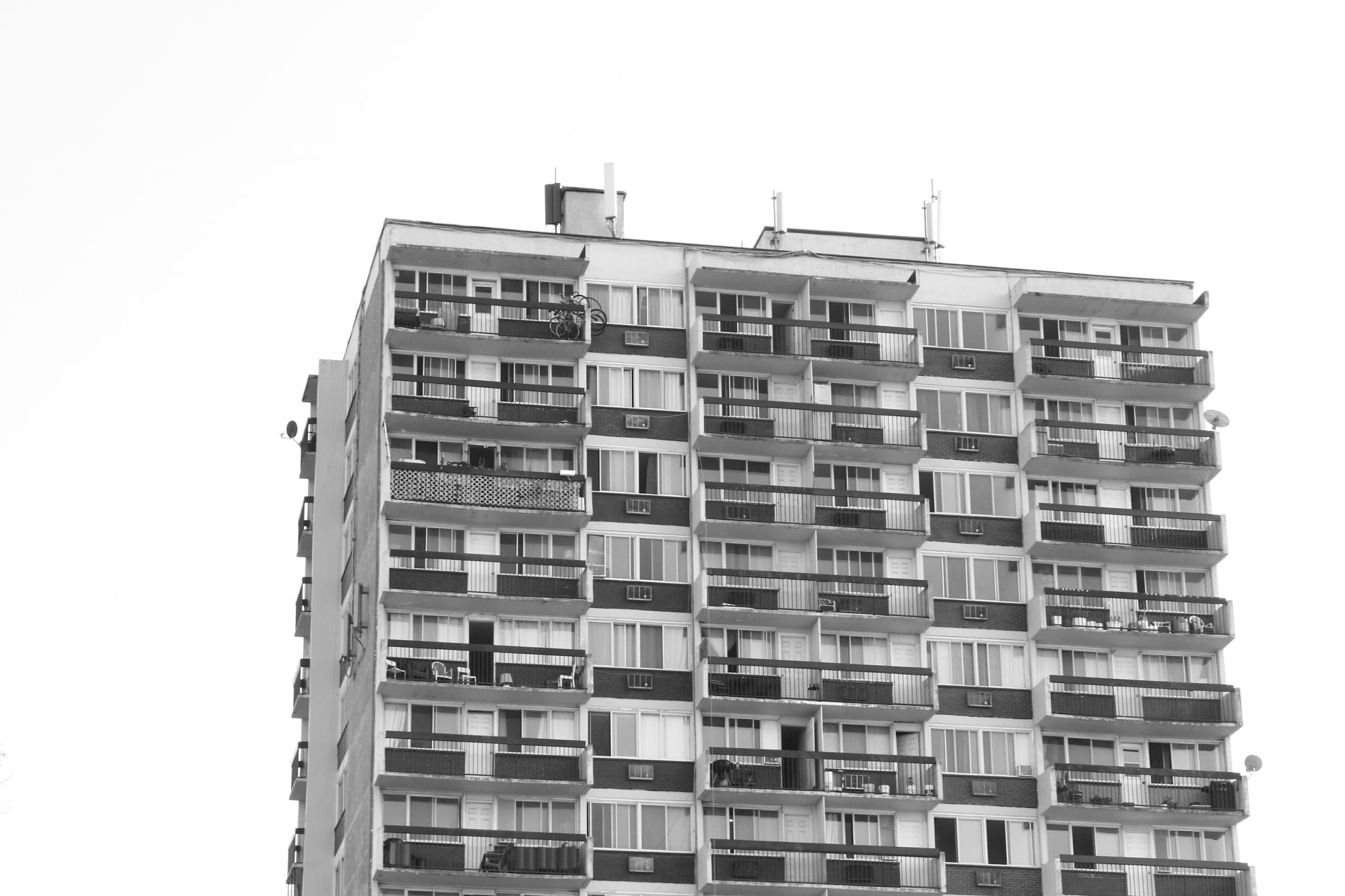 ParkEx through the viewfinder ParcExtension News