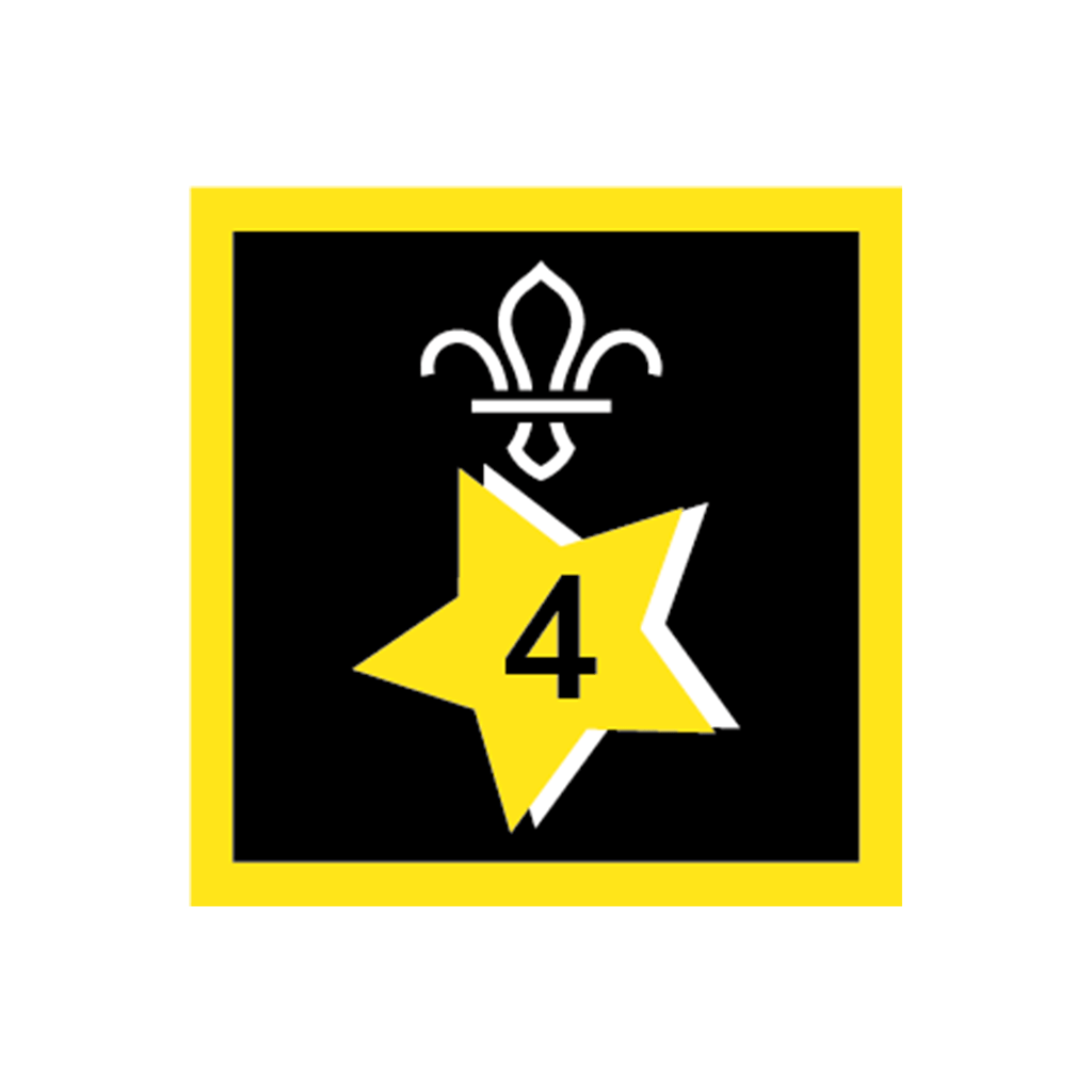 Joining In Award 4 Uniform Badge Project X Adventures