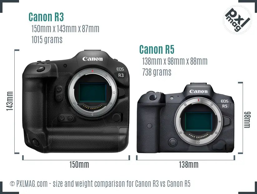 Canon R3 vs Canon R5 In Depth Comparison