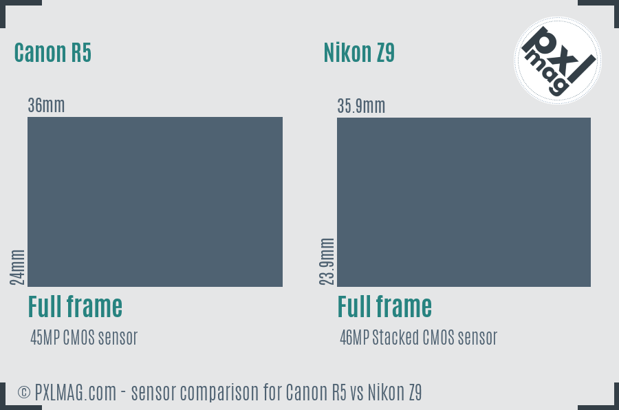Canon R5 vs Nikon Z9 Detailed Comparison