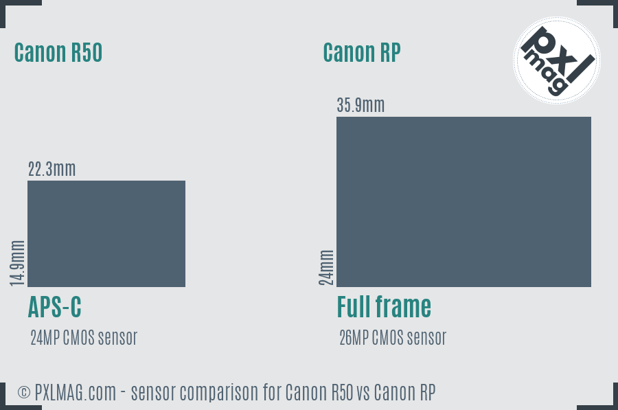 Canon R50 vs Canon RP In Depth Comparison