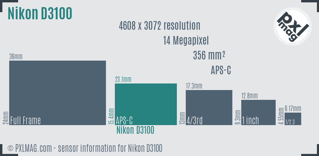 Nikon D3100 Specs and Review