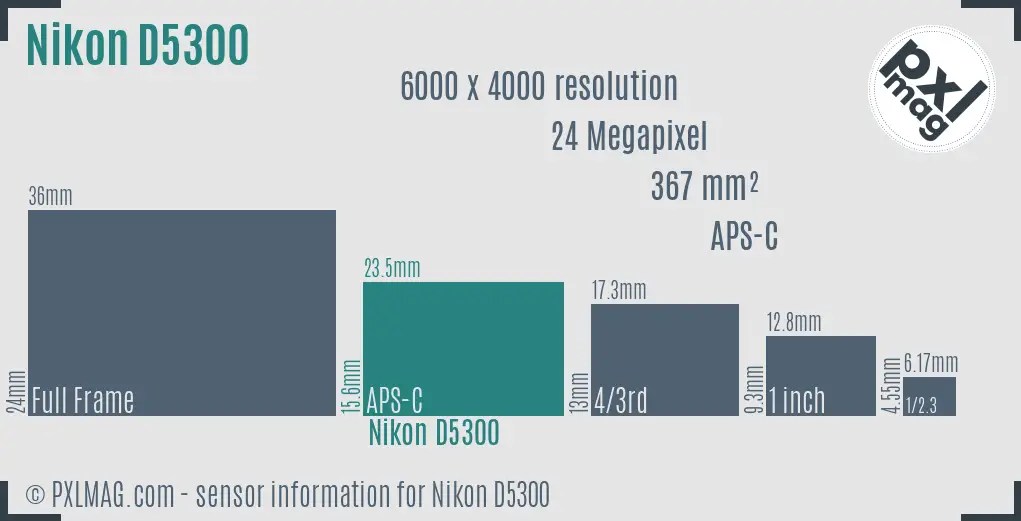 Nikon D5300 Specs and Review