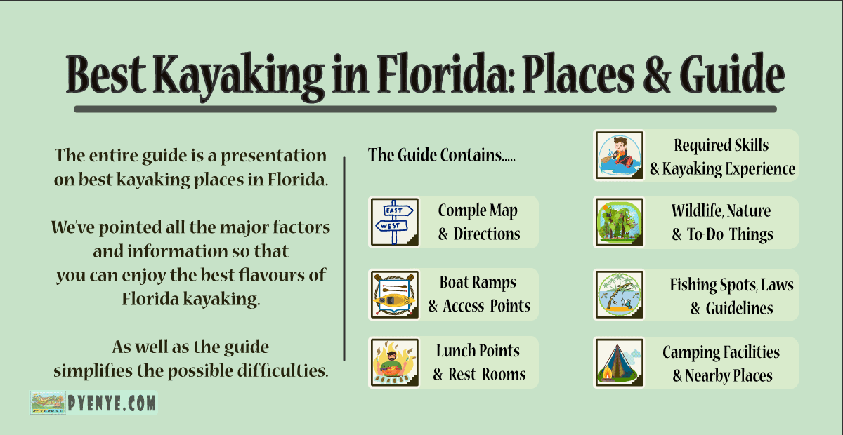 The 15 Best Kayaking In Florida With Guidelines PyeNye